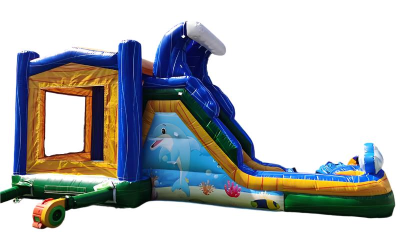 Dolphin Bounce House With Slide