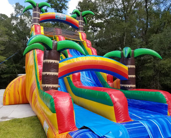 Inflatable Dolphin Water Slide - Wet or Dry