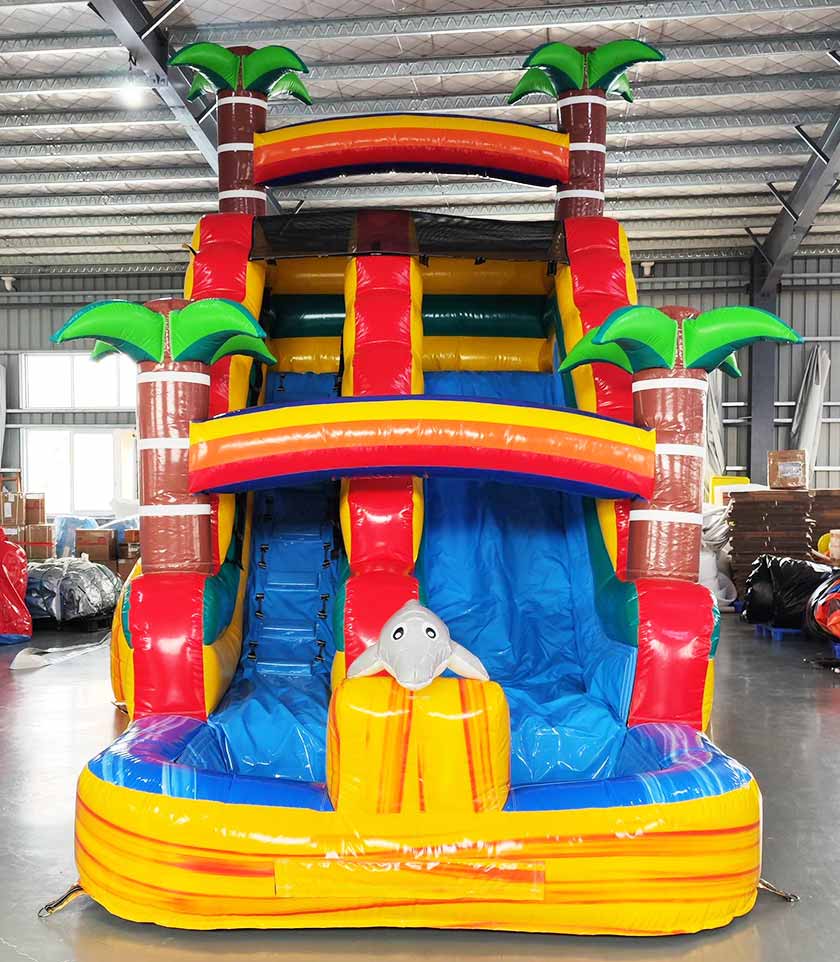 Dolphin Inflatable Water Slide