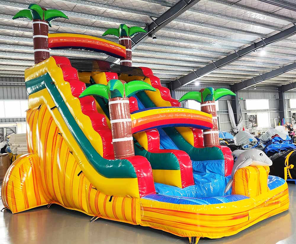 Dolphin Inflatable Water Slide