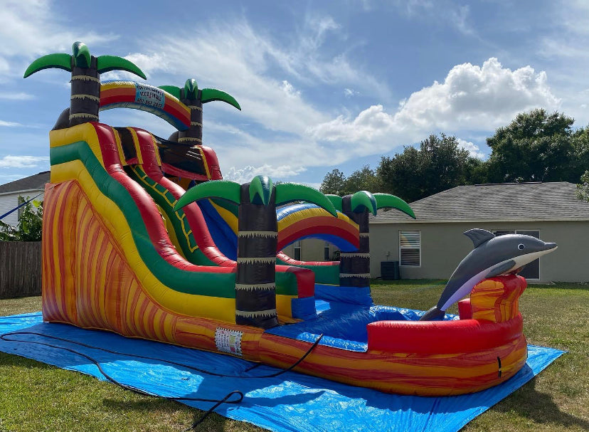 Inflatable Dolphin Water Slide