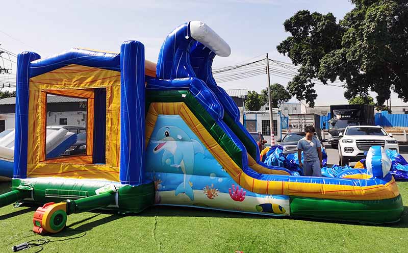 Dolphin Bounce House With Slide