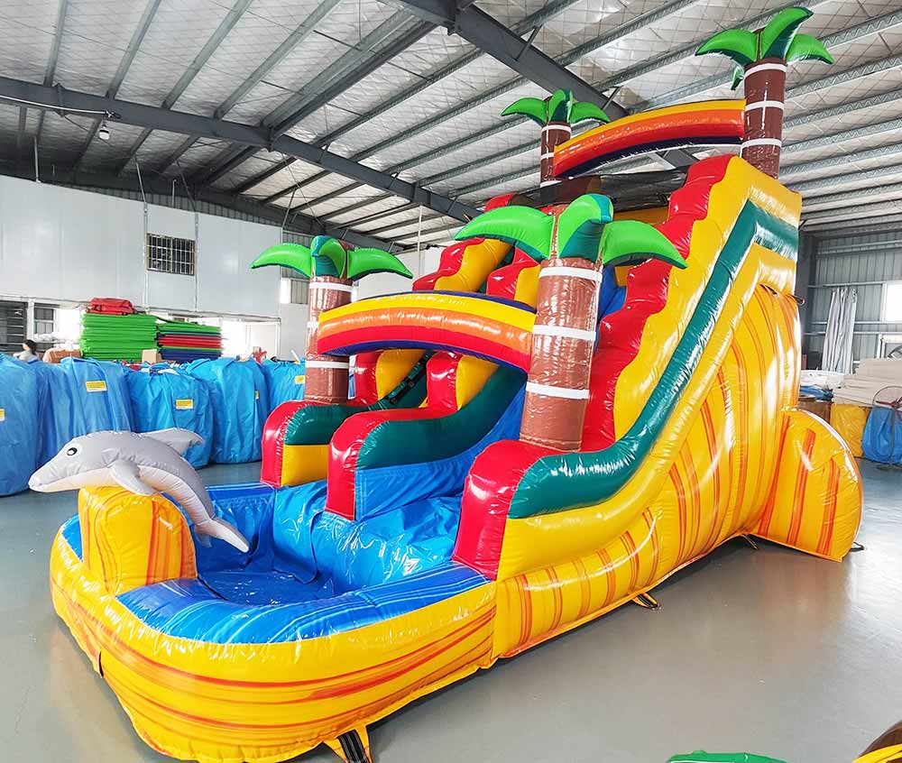 Dolphin Inflatable Water Slide