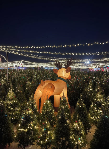 Giant Inflatable Reindeer For Sale