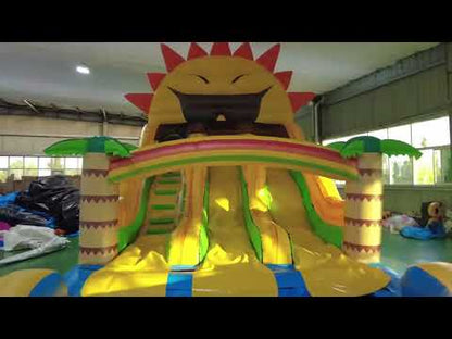Sun Inflatable Water Slide Video