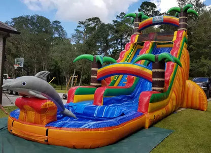 dolphin inflatable water slide